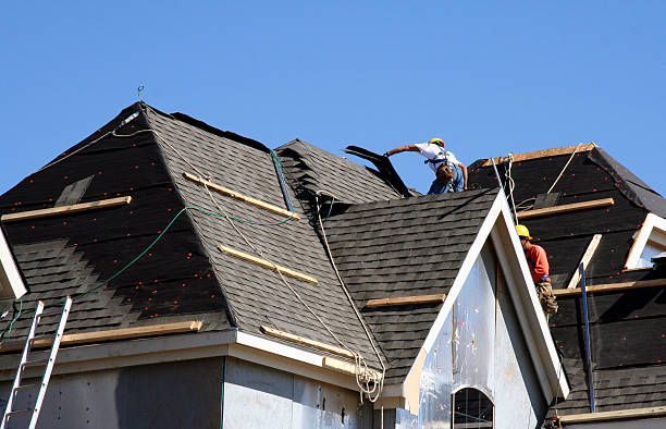 Best Roof Repair Services  in Kealakekua, HI