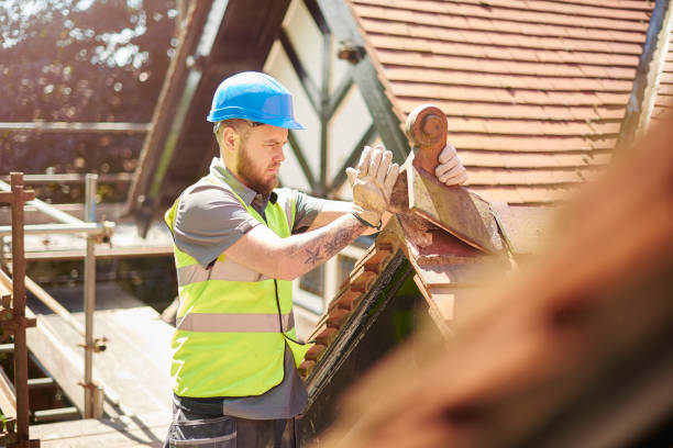 Best Metal Roofing Contractor  in Kealakekua, HI