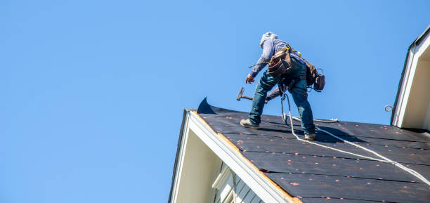 Best Sealant for Roof  in Kealakekua, HI